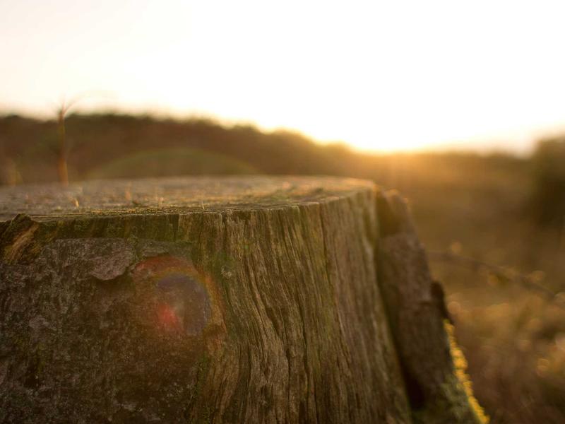 sudoku competition rules screenshot 4